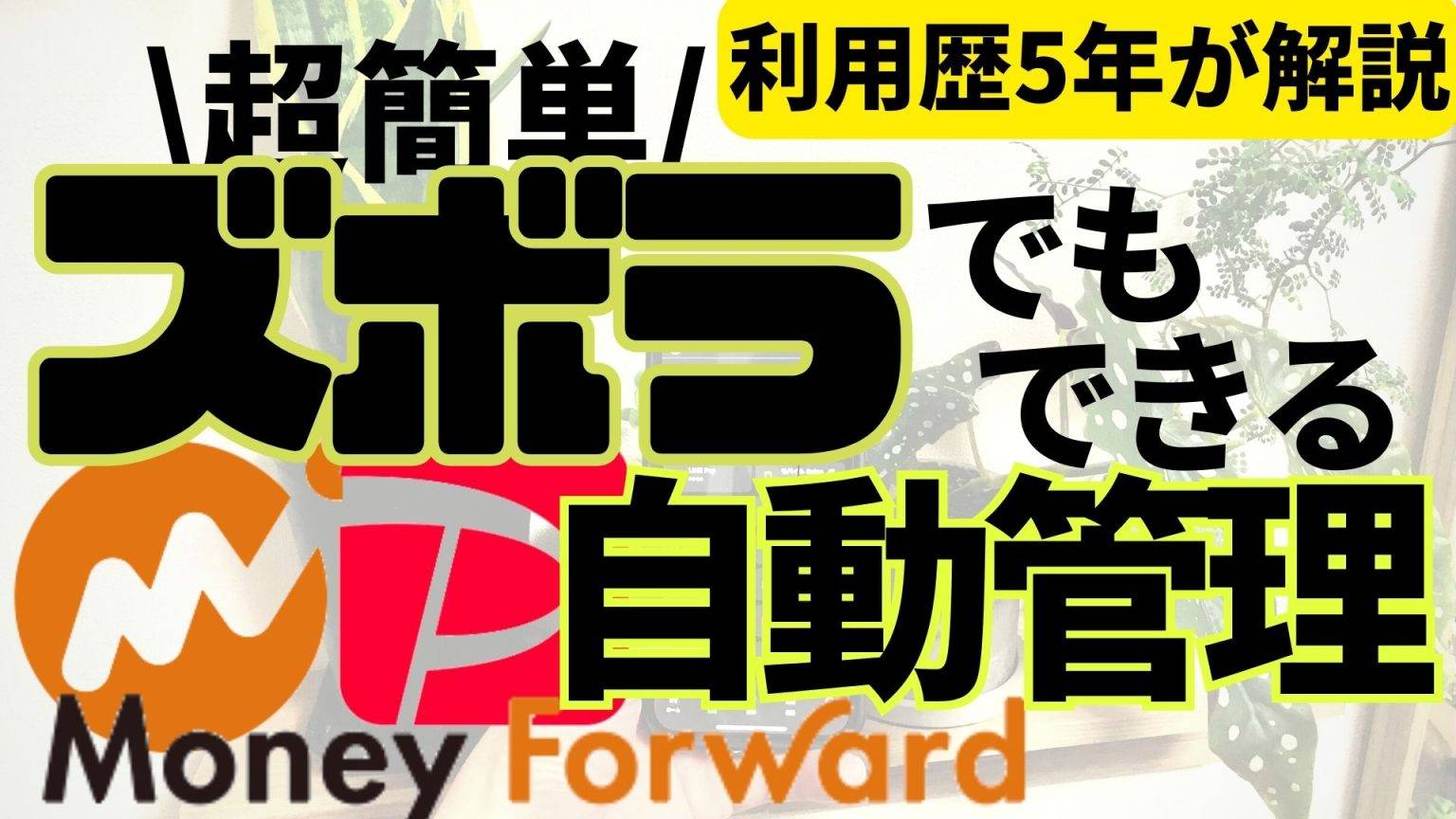 ズボラ向き】PayPay残高とマネーフォワードMEの記録方法！銀行連携1つだけで実現可能！ | マネー リーフ：家計簿アプリ・節約貯金・キャッシュレス・資産形成投資メディア
